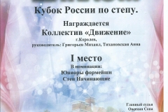 0020 1 mesto Step miks 21 fevralia 2016 g Krasnoarmeisk